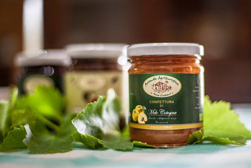 Agriturismo Miracco Atanasio Franco "Il Maniero" Santa Sofia d'Epiro 외부 사진